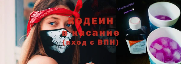 apvp Карпинск