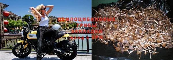 прущая мука Кинешма
