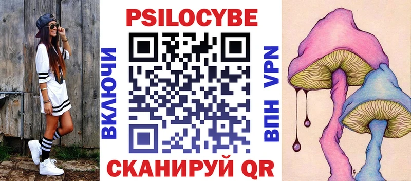 Псилоцибиновые грибы Psilocybe  Котлас 