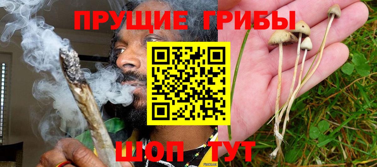 Псилоцибиновые грибы мицелий  Вход с VPN  Псилоцибиновые грибы Psilocybe  Котлас 