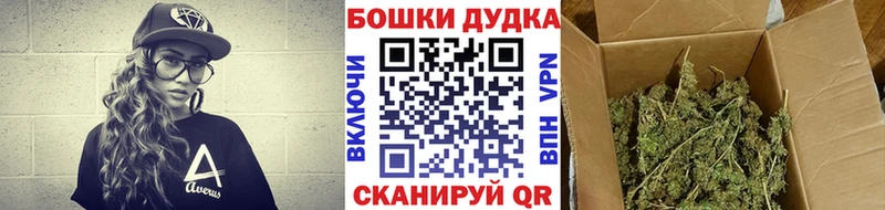 Конопля конопля  где купить наркоту  гидра как войти  Котлас 