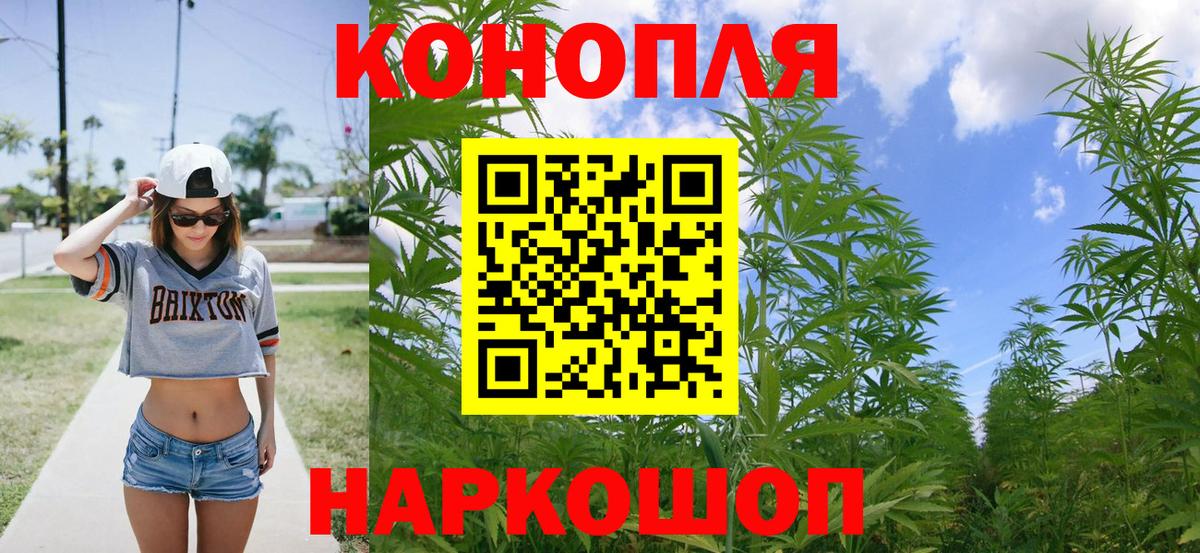 Канабис сатива  Вход с VPN  Котлас  Шишки марихуана White Widow 